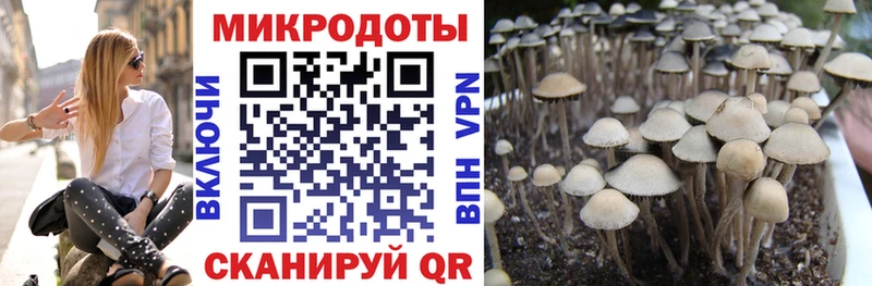 Галлюциногенные грибы прущие грибы Гулькевичи